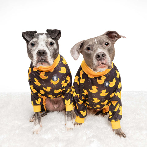 Pijama negro de pitbull
