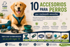 10 accesorios para perros que realmente necesitas