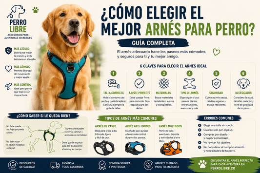 ¿Cómo elegir el mejor arnés para perro? guía completa