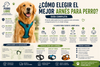 ¿Cómo elegir el mejor arnés para perro? guía completa
