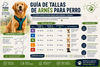 ¿Cómo saber qué talla de arnés necesita tu perro?