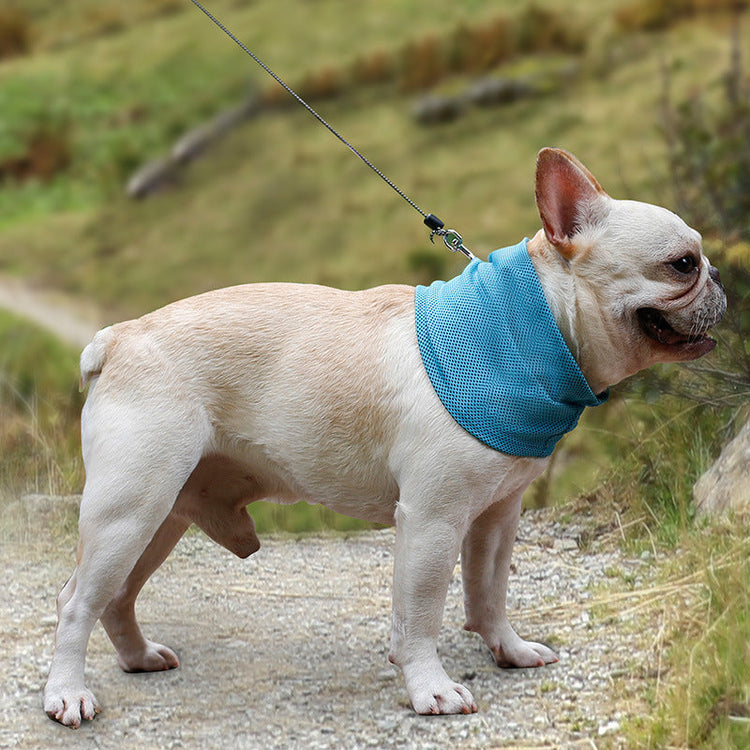 Pañuelo refrescante instantáneo para mascotas, bufanda para perros pequeños, toalla refrescante de verano, collar para perros