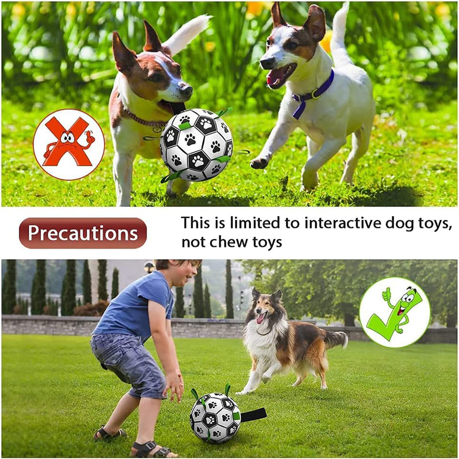 Balón de Futbol para Perros