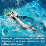Balón de Futbol para Perros