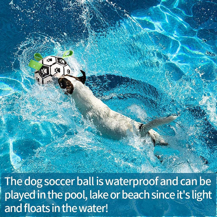Balón de Futbol para Perros