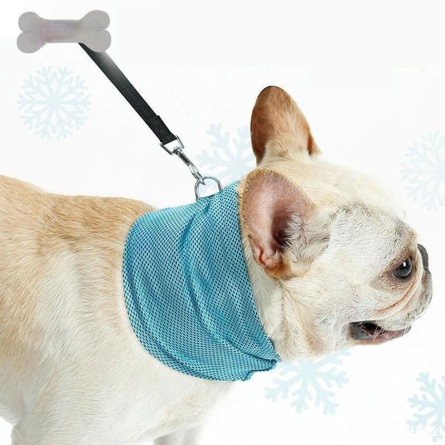 Pañuelo refrescante instantáneo para mascotas, bufanda para perros pequeños, toalla refrescante de verano, collar para perros