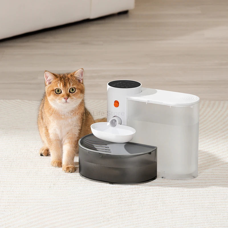 Hidratación pura, sin necesidad de filtros: la fuente para gatos sin filtros.