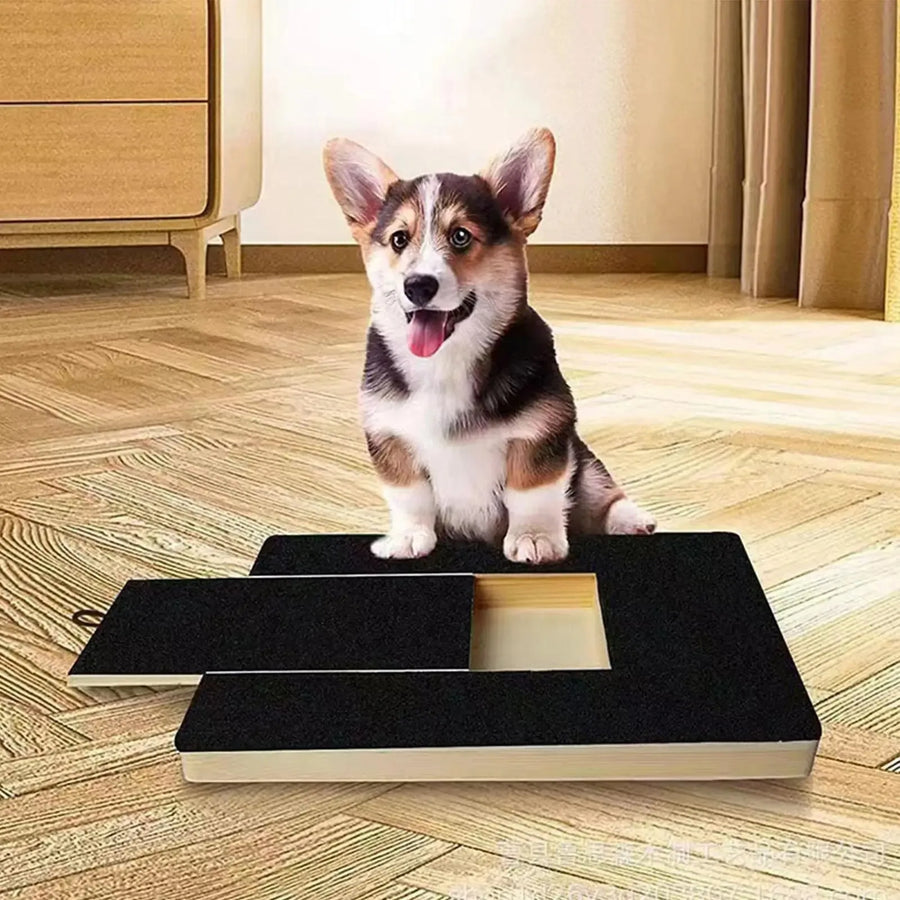 Tabla rascadora PawTrim™ 🐶✨ — Cuidado de uñas fácil con recompensas de golosinas