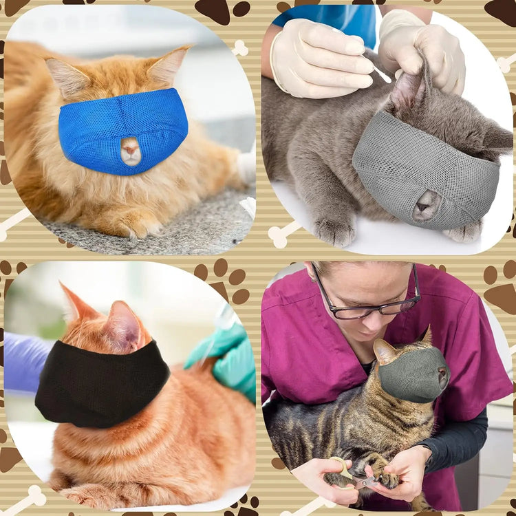 Bozal transpirable para gatos: ¡Aseo y visitas al veterinario sin estrés!
