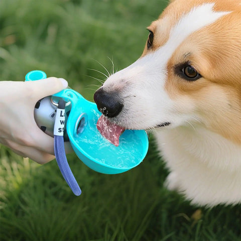 Botella de agua HydroPaws™ 🐶💧 — Bebe  en un solo recipiente