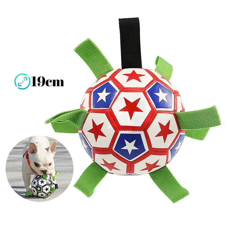 Balón de Futbol para Perros