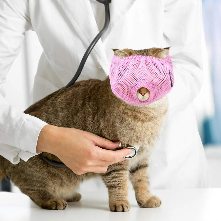 Bozal transpirable para gatos: ¡Aseo y visitas al veterinario sin estrés!