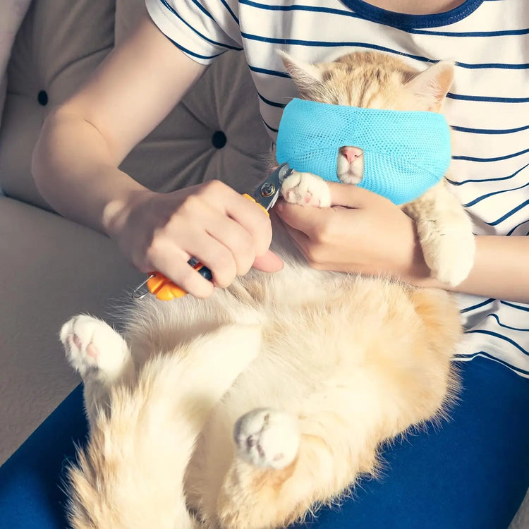 Bozal transpirable para gatos: ¡Aseo y visitas al veterinario sin estrés!