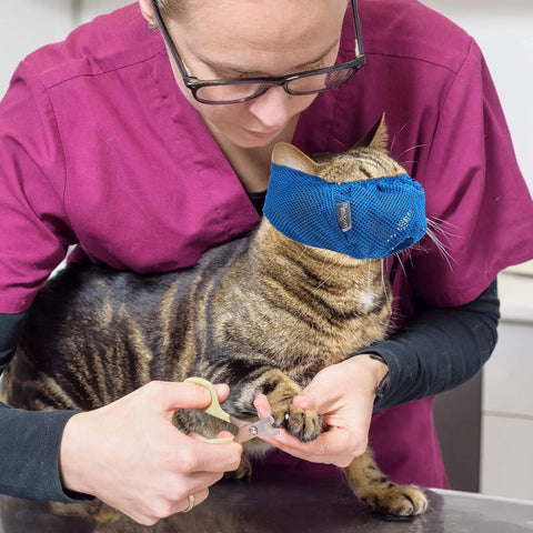 Bozal transpirable para gatos: ¡Aseo y visitas al veterinario sin estrés!