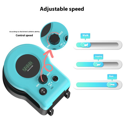 ChaseWhisker™ – Ejercicio divertido para gatos perezosos 😺💨
