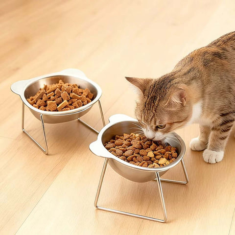 Comedero elevado para gatos con soporte de acero inoxidable | PawLift™