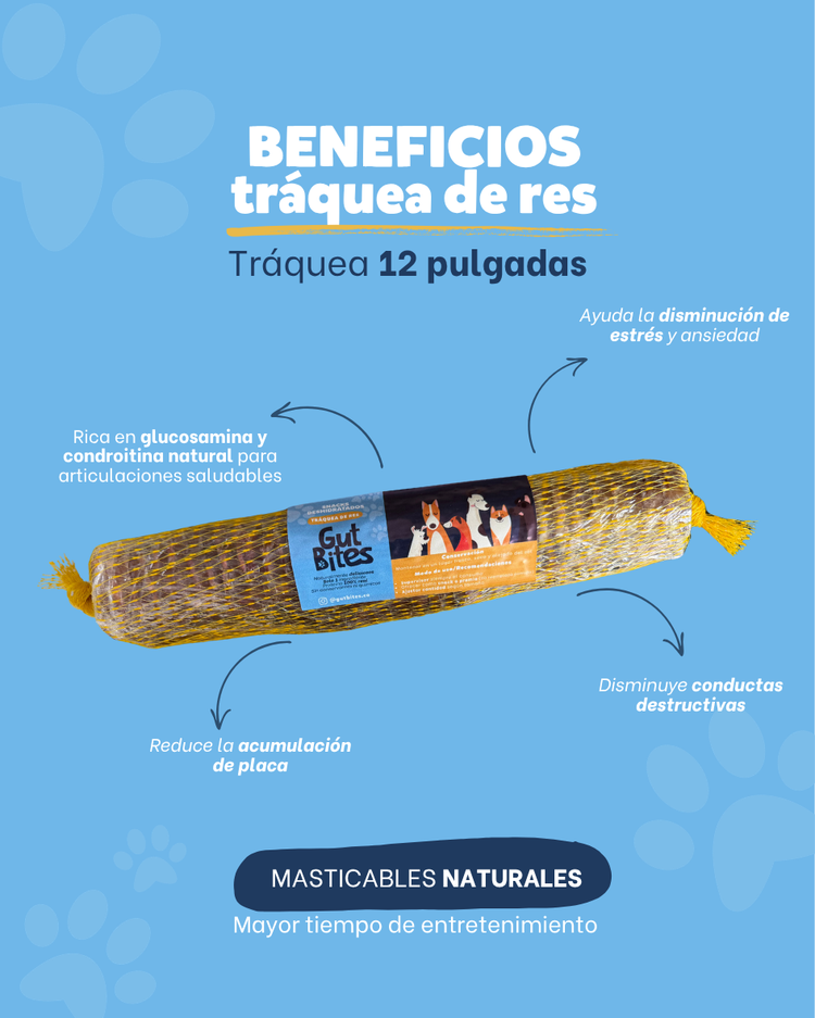 Tráquea de res 12 pulgadas
