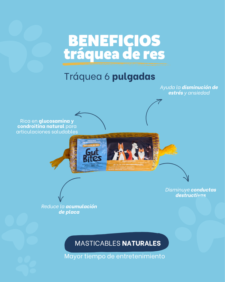 Tráquea de res 6 pulgadas