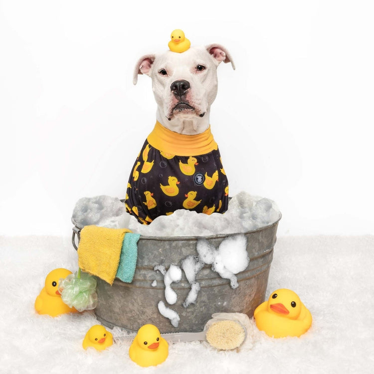 Pijama negro de pitbull "tan increíblemente lindo"