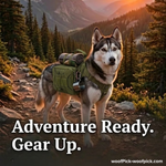 Mochila táctica para perros WoofPick: deja que tu compañero de aventuras lleve su parte.