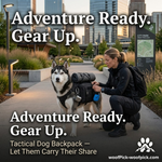 Mochila táctica para perros WoofPick: deja que tu compañero de aventuras lleve su parte.